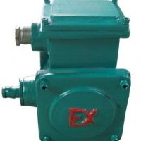 廣州廠家銷售BCD型防爆電動(dòng)葫蘆5t限位開關(guān)