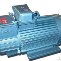 大興安嶺起重電機(jī) 電動(dòng)機(jī)廠(chǎng)家直銷(xiāo)