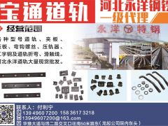 寶通道軌河北永洋鋼鐵一級代理已加入《起重匯采購指南》！